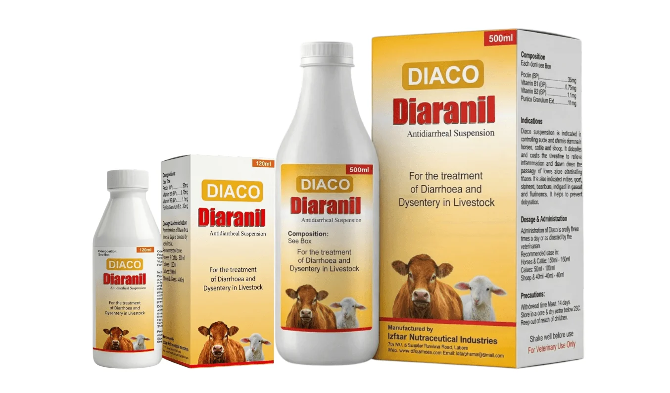 DIARANIL Suspension 500ml