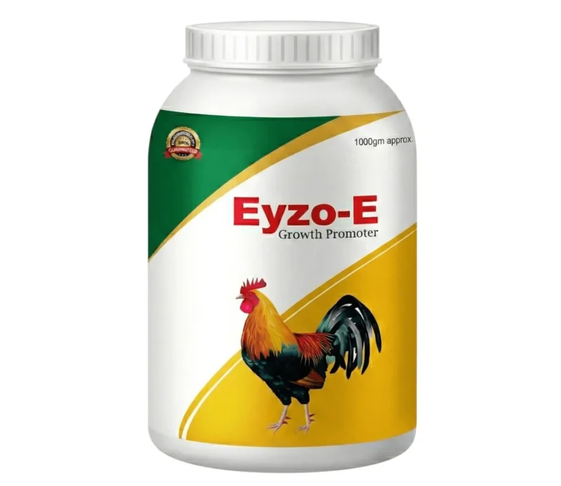 eyzo-e