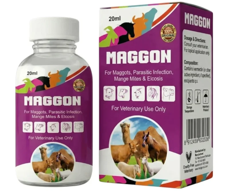 maggon