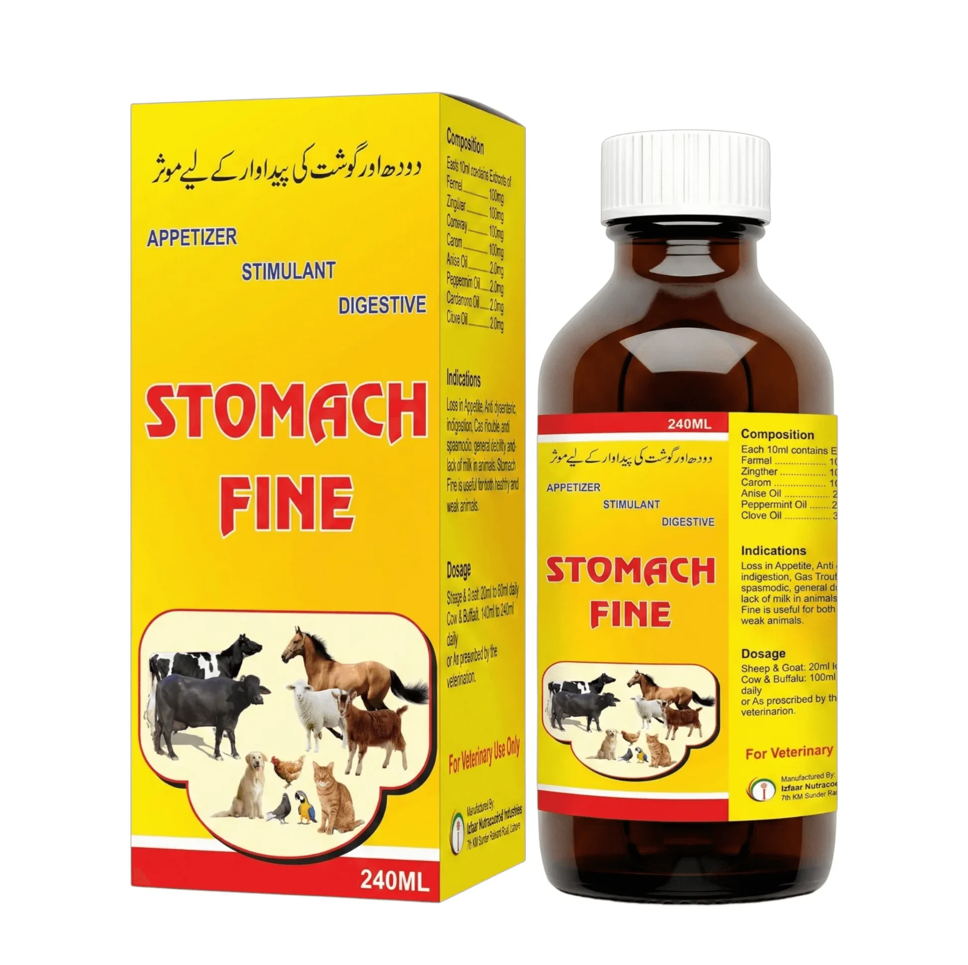 stomach-fine