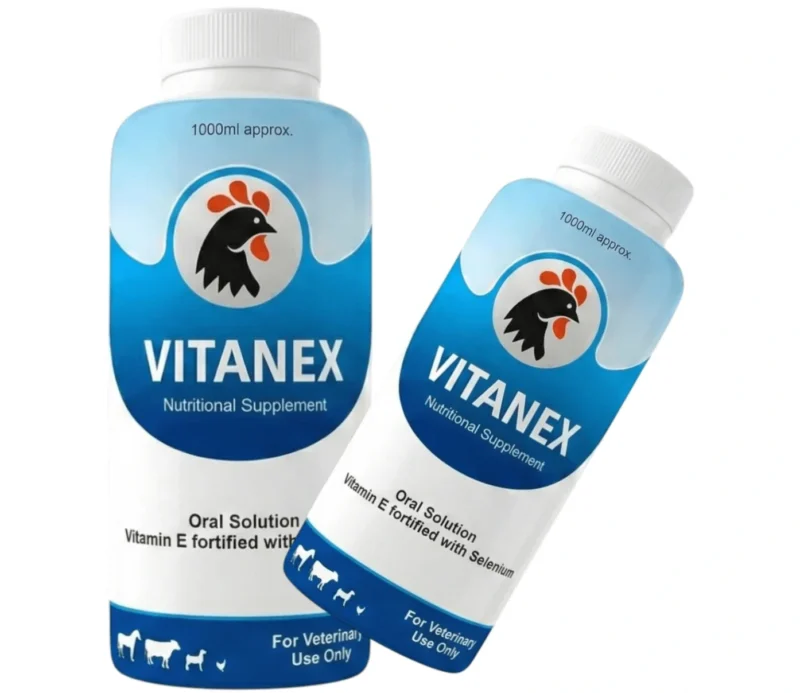 vitanex
